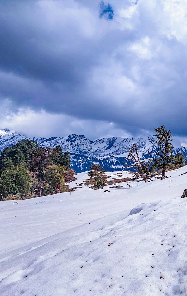 Chopta Chandrashila Tungnath Trek with Deoriatal